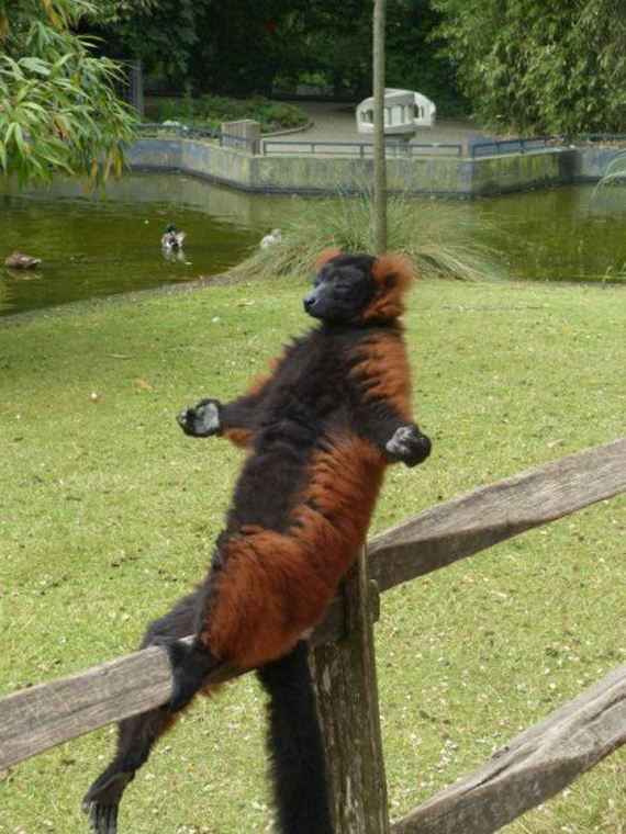 funny-pictures-862