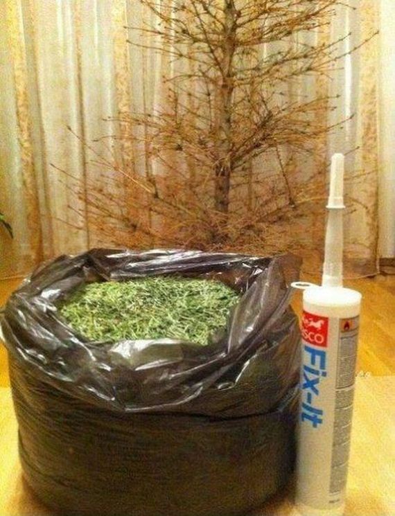 funny-pictures-862