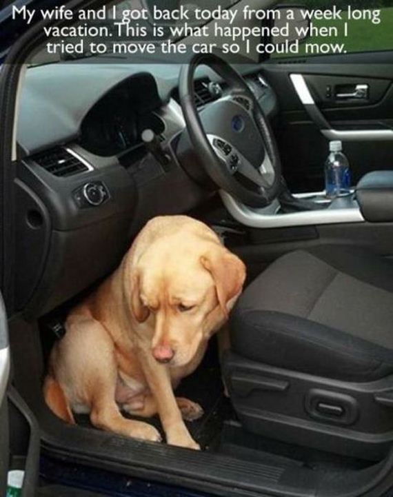 funny-pictures-864