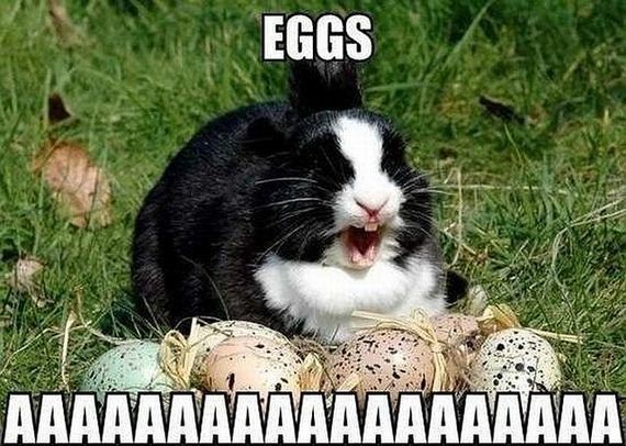 funny-pictures-865
