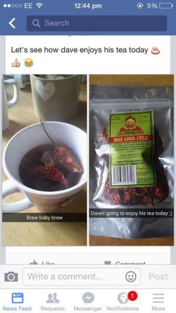funny-pictures-865