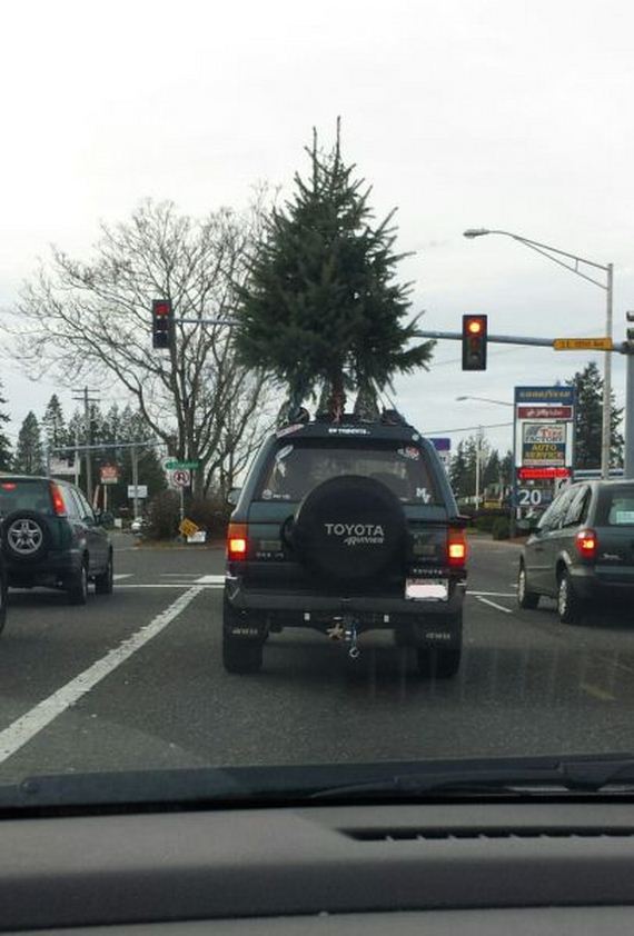 funny-pictures-867