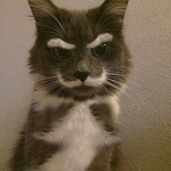 funny-pictures-868