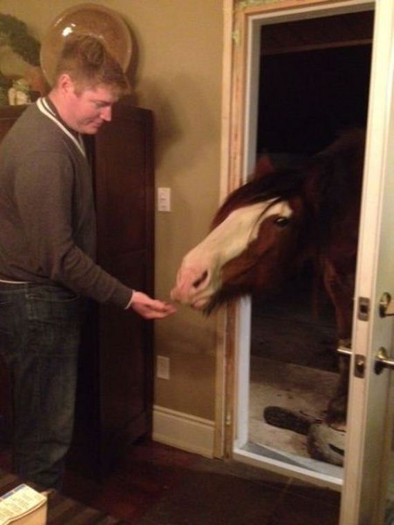 funny-pictures-869