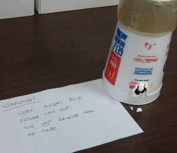 funny-pictures-869