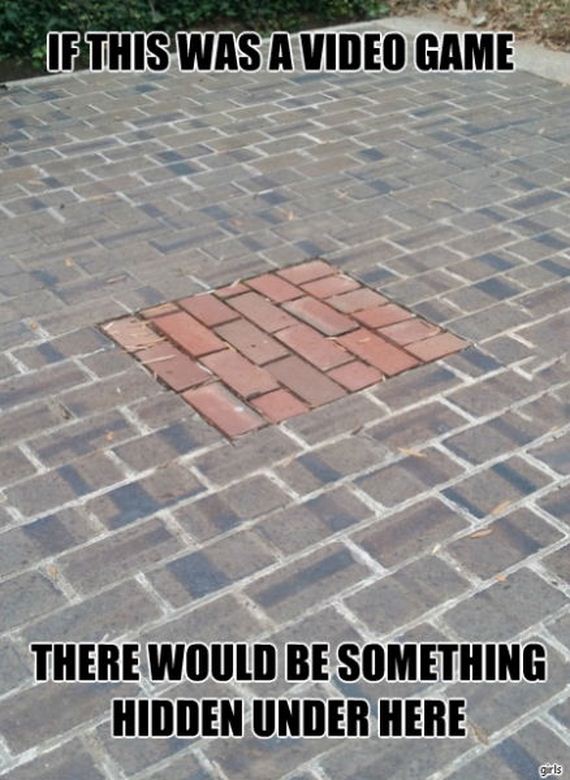 funny-pictures-869