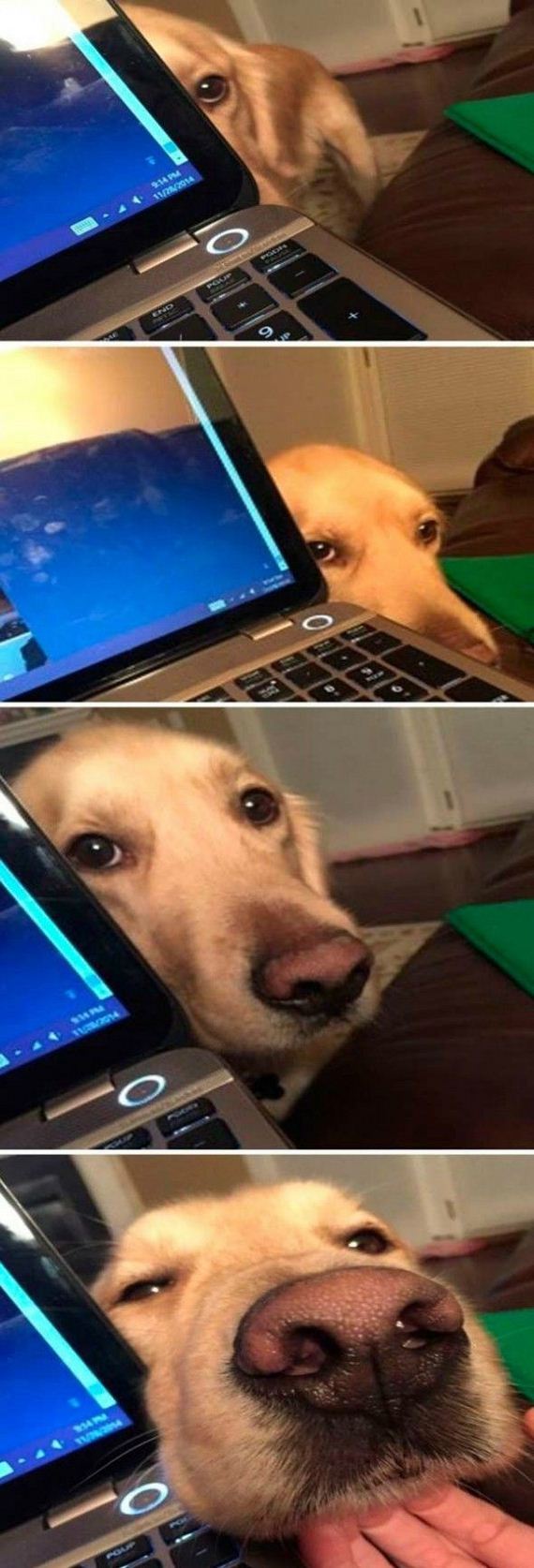 funny-pictures-870