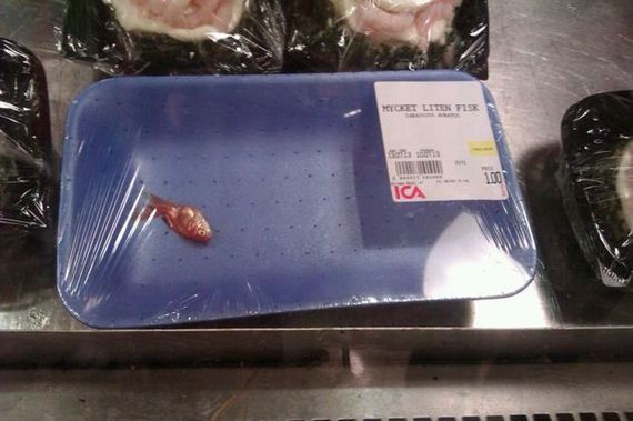 funny-pictures-870