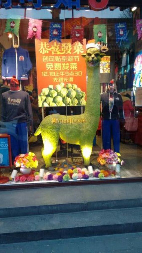 funny-pictures-872