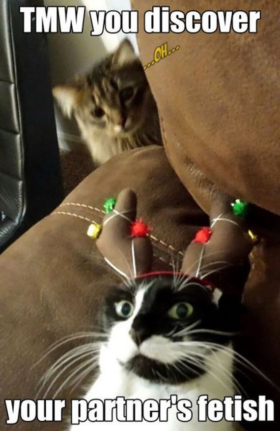 funny-pictures-872