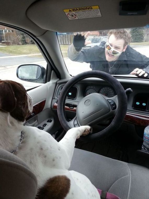 funny-pictures-873