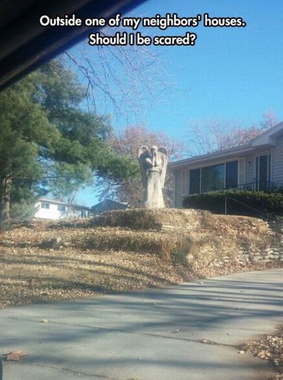 funny-pictures-873