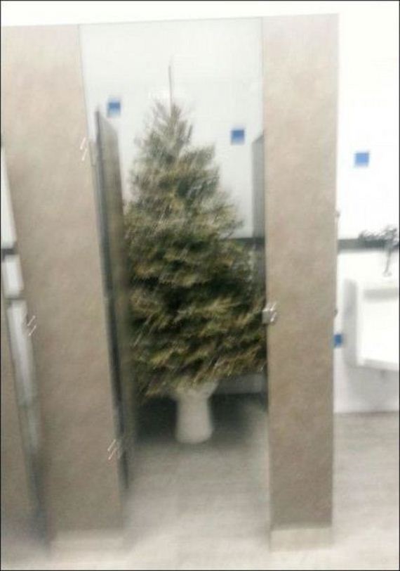 funny-pictures-873