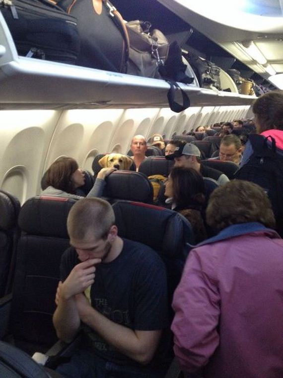 funny-pictures-873