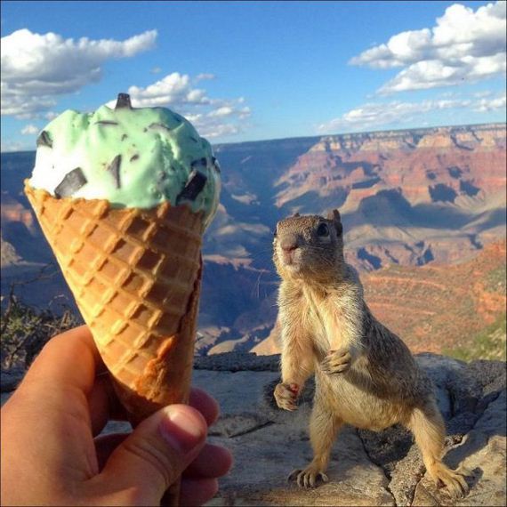 funny-pictures-873