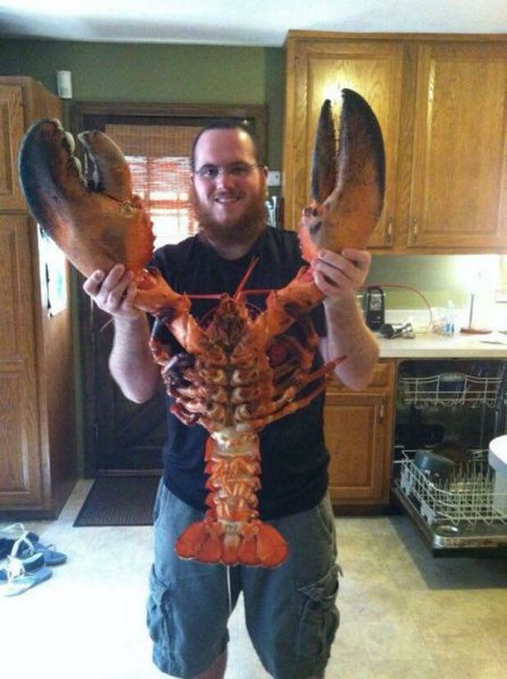 funny-pictures-873