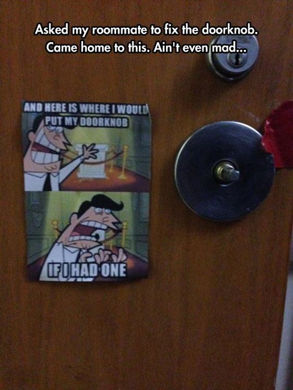 funny-pictures-874