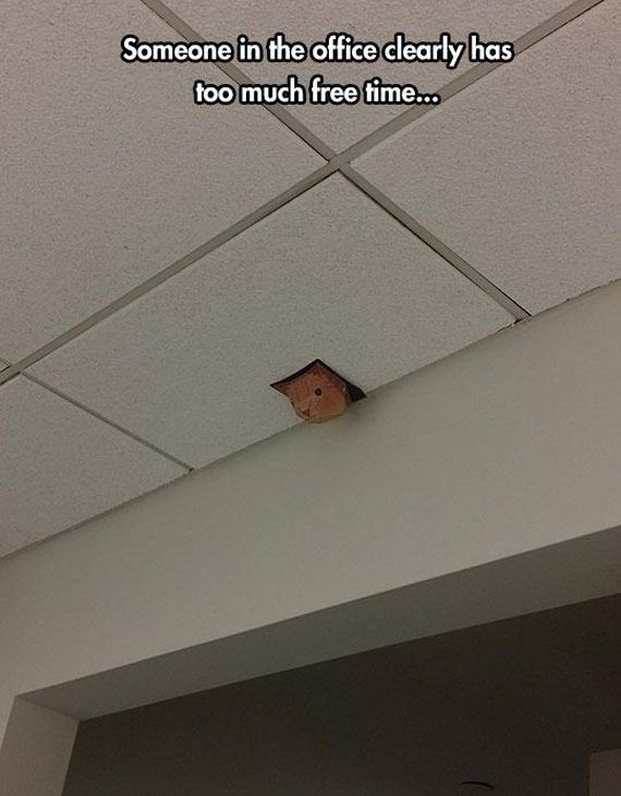 funny-pictures-874