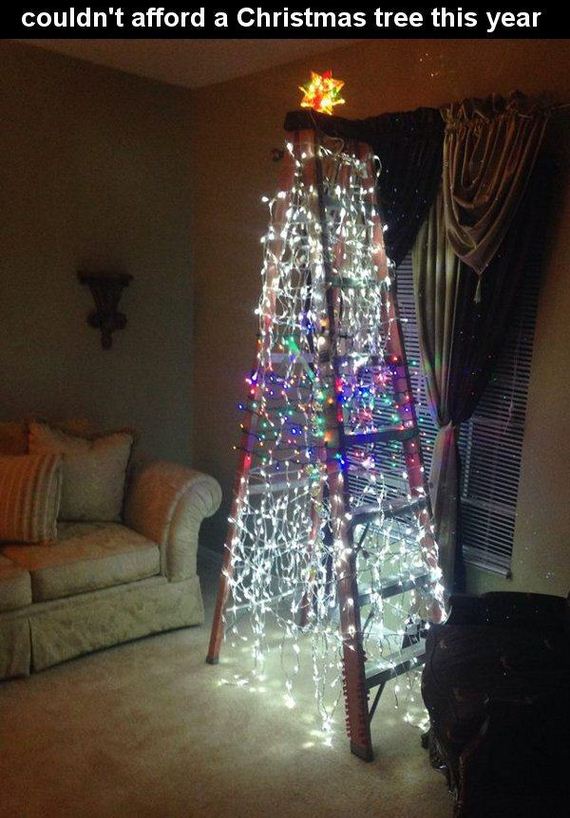 funny-pictures-874