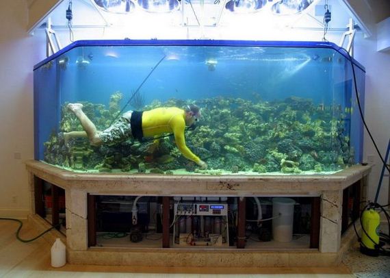 funny-pictures-875