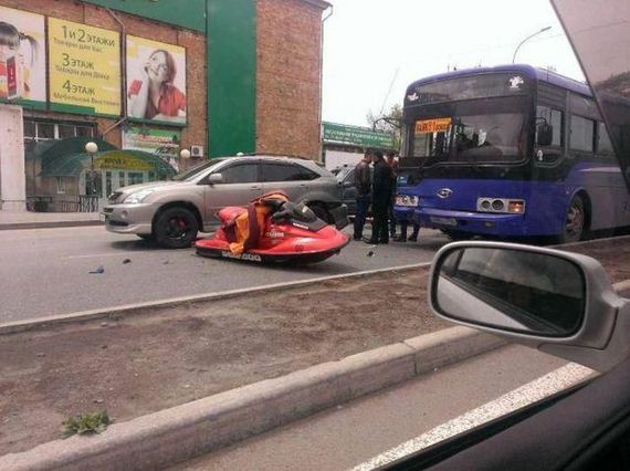 funny-pictures-875