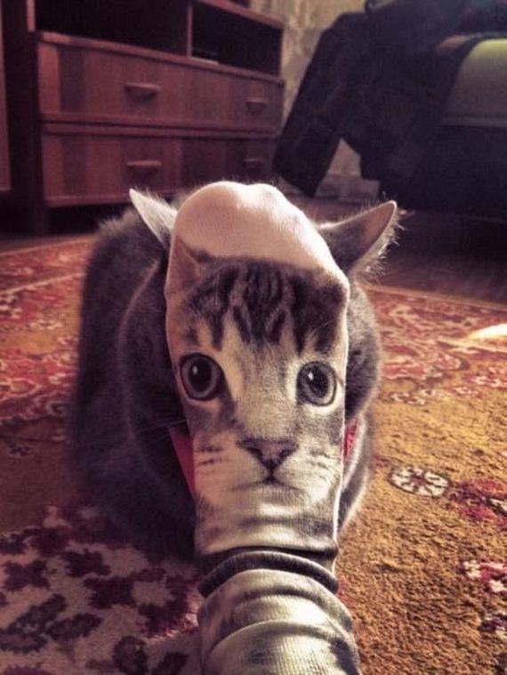 funny-pictures-875