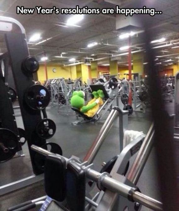 funny-pictures-875