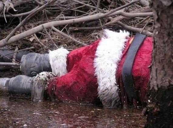 funny-pictures-875
