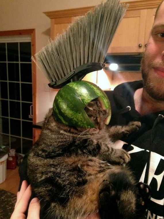 funny-pictures-875