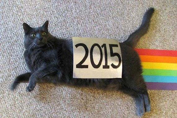 funny-pictures-876