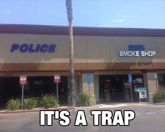 funny-pictures-876