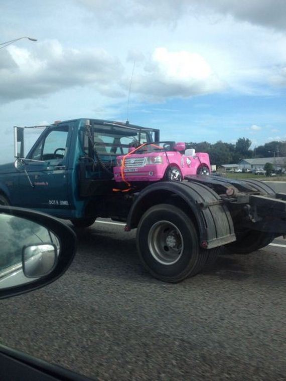 funny-pictures-877
