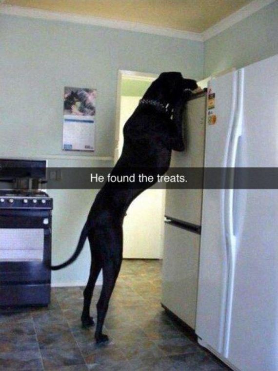 funny-pictures-877
