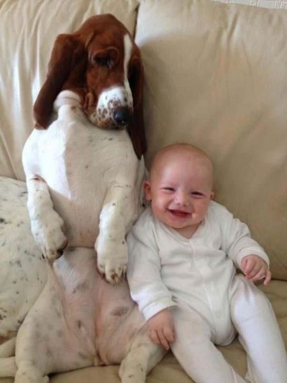 funny-pictures-877