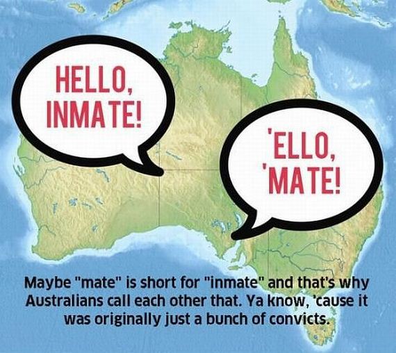 funny-pictures-878