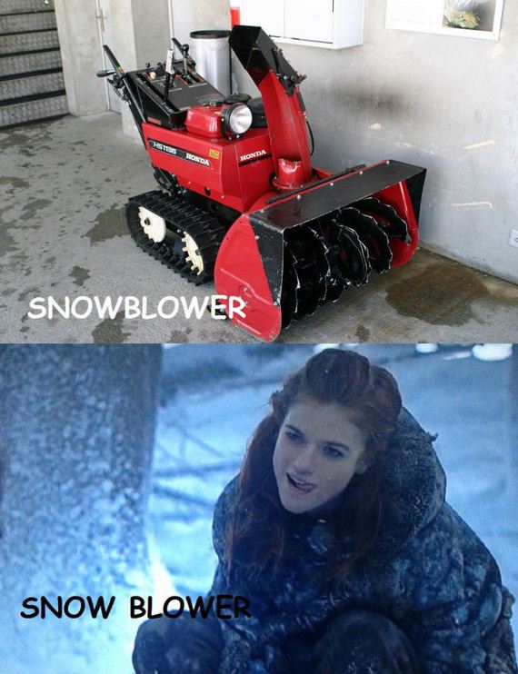 funny-pictures-878