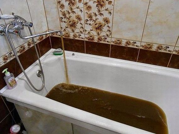 funny-pictures-878