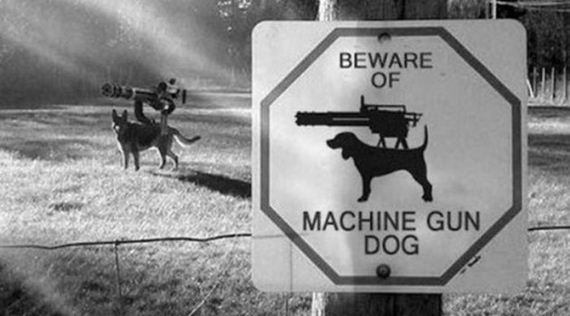 funny-pictures-878