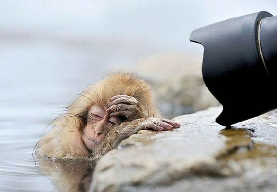 funny-pictures-879
