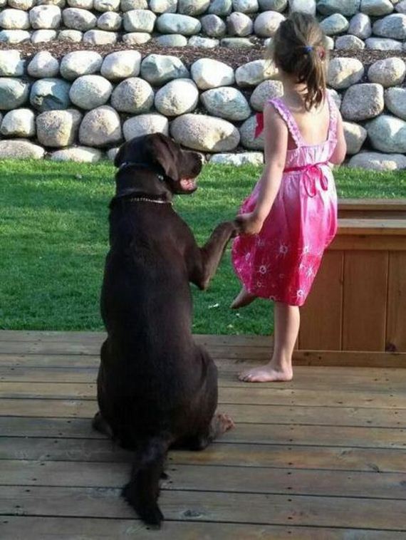 funny-pictures-880