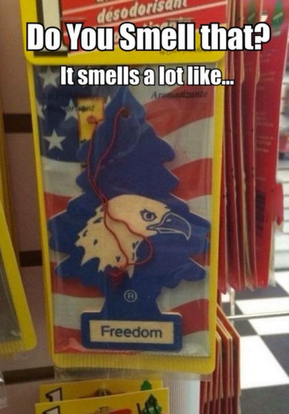 funny-pictures-881