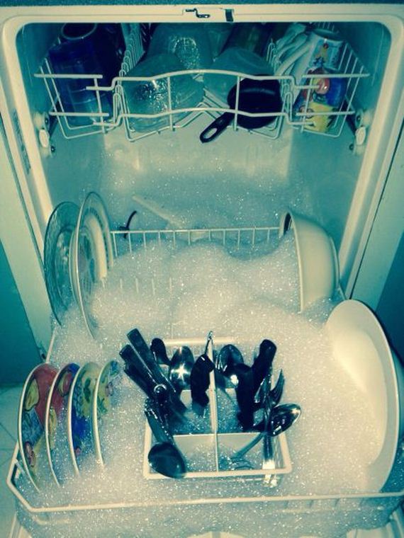 funny-pictures-881