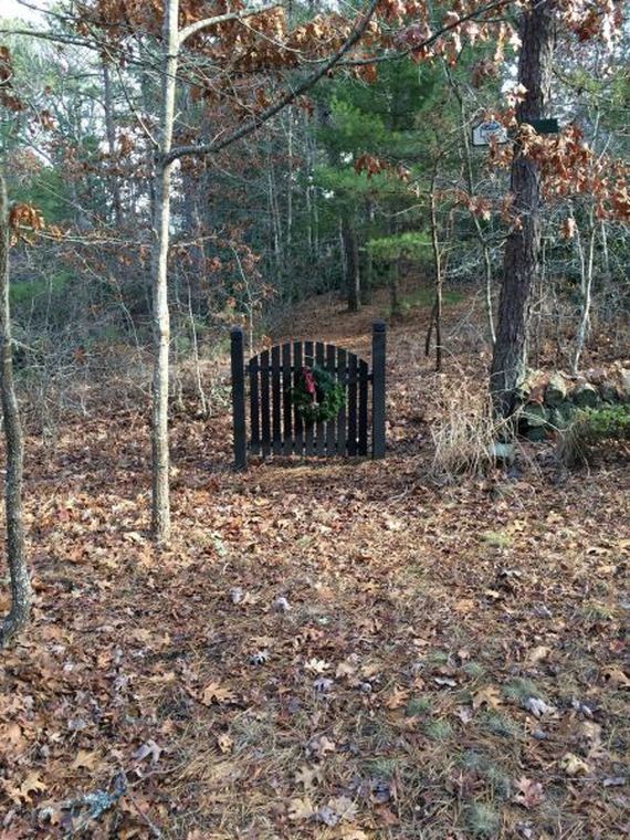 funny-pictures-882