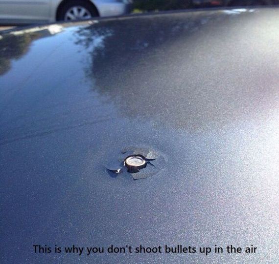 funny-pictures-882