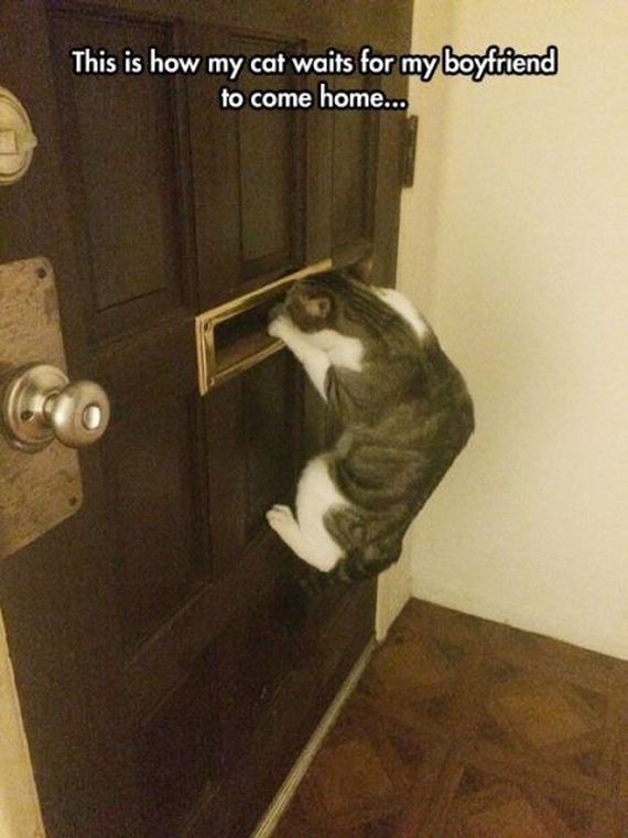 funny-pictures-882