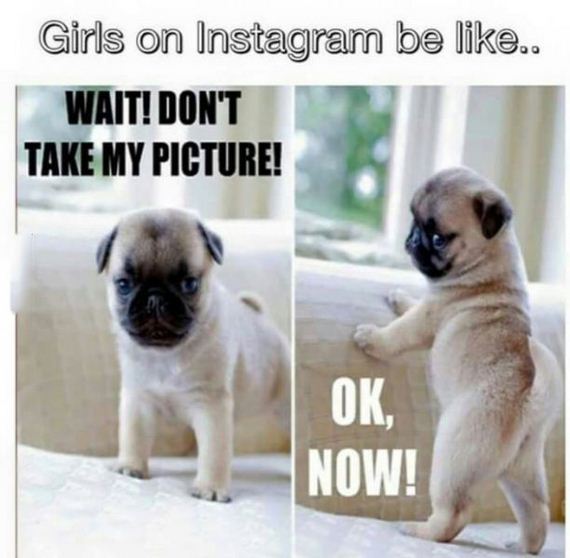 funny-pictures-882