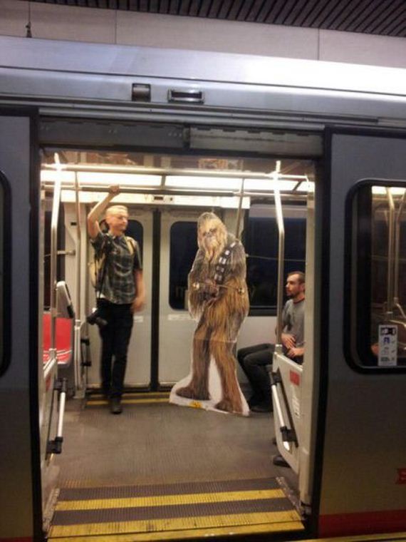 funny-pictures-883