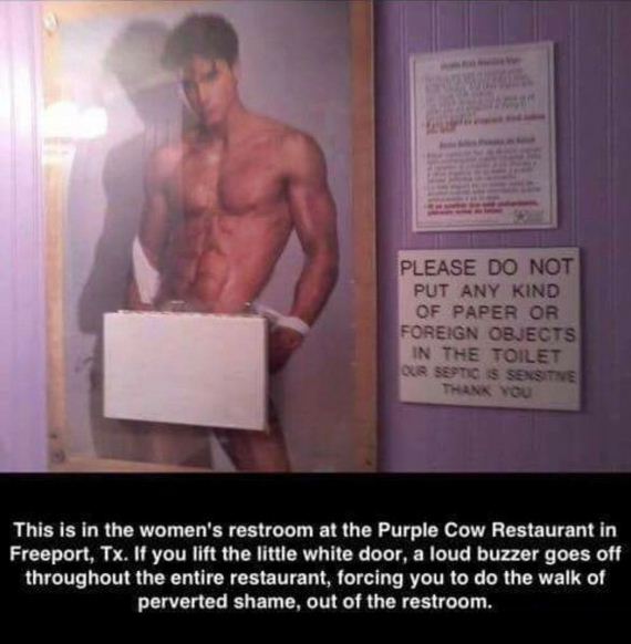 funny-pictures-883