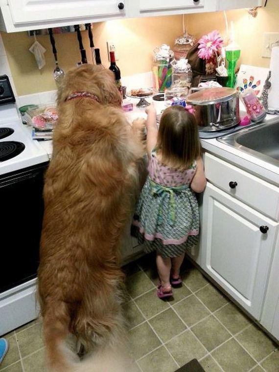 funny-pictures-883