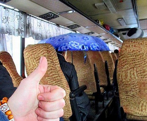 funny-pictures-884